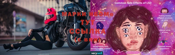 молекула духа Мурманск
