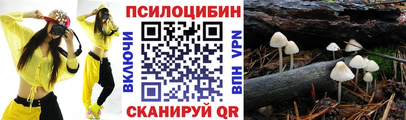 как найти закладки  нарко площадка формула  omg как войти  Псилоцибиновые грибы мицелий  Химки 