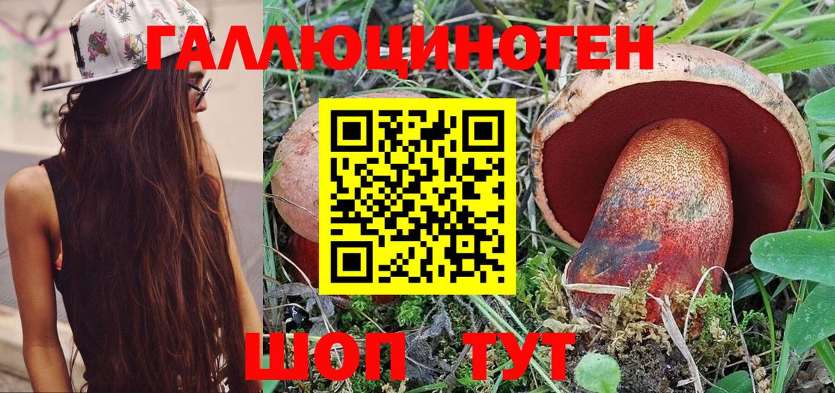 дарнет шоп  Псилоцибиновые грибы GOLDEN TEACHER  Вход с VPN  Химки 
